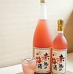 博多　赤鬼の梅酒