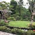琉球庭園を眺めながら至福のひと時をお過ごしください。