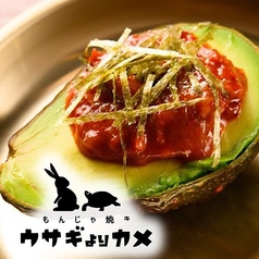 ウサギよりカメ2の特集写真