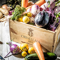 神奈川県三浦市の契約農家から朝採れ野菜を直送♪