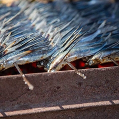 長崎県五島産 あご(飛魚) 