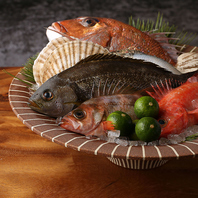 【名古屋で海鮮料理】市場直送の新鮮魚介を堪能！