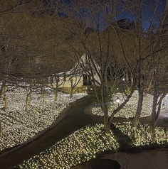 森の邸宅 彩音 アノンの外観3