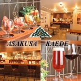 ASAKUSA KAEDE アサクサカエデの詳細