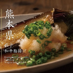 ■熊本赤ナスの素揚げ　博多美人Ver