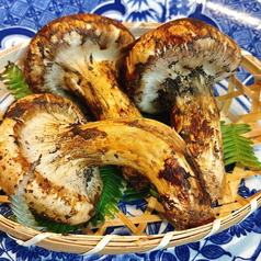松茸は様々な調理法でお楽しみいただけるよう毎週ご用意しています