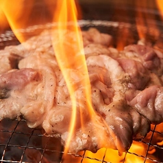 牛たん食べ放題 仙台ホルモン焼肉酒場 ときわ亭 高田馬場店の写真2