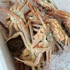 和食料理店 海奴の特集写真