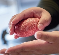 花より ハンバーグ ASTY静岡店