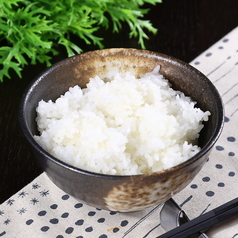 ごはん
