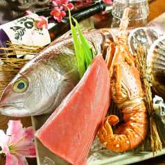 お魚とお野菜 わえん 和縁の特集写真
