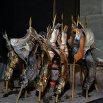 獲れたて鮮魚を囲炉裏で焼くように串焼きをする【名物　原始焼き】