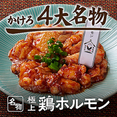 鳥焼肉 かけろ 大宮店特集写真1