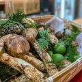 料理メニュー写真&nbsp;国産松茸料理各種