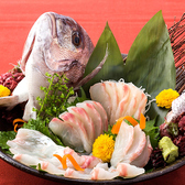 宴会コースえをさらに豪華に！+500円で鯛の姿造りを付けられます！
