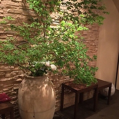 肉家かぐらの特集写真