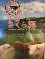 沖縄県産   ブランド豚     ナゴさくら豚
