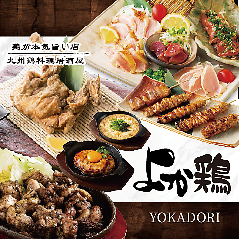 【全席完全個室×鶏料理を堪能】2名～70名様迄の宴会が可！飲放コース3000円台♪