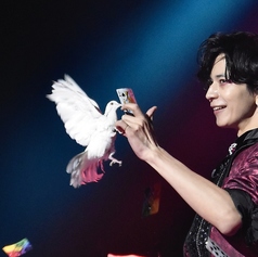 MAGIC OCEAN マジックオーシャンのおすすめポイント1