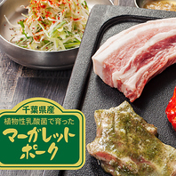 【厳選食材】上質なブランド豚肉