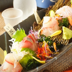 本日の鮮魚盛り合わせ 小盛り 三点盛り(二人前)