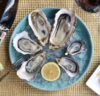 毎日直送！鮮度抜群のこだわり生牡蠣