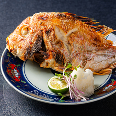 連子鯛