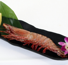 皇帝海老