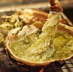 海と土のコース写真