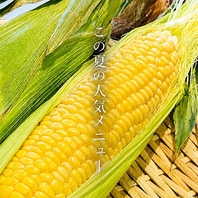 新鮮なお野菜を使ったこだわりのお料理も豊富にご準備