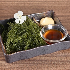 沖縄直送 本場の海ぶどう