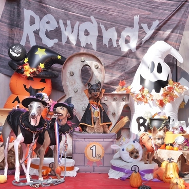 Reandyの雰囲気1