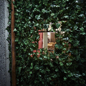 静岡（静岡駅）の入り口がわかりづらい隠れ家個室居酒屋です。階段を上がって緑のカーテンの入口のドアを開けると。。。。ネオンカラーの魅力的な空間がお客様をお待ちしております。