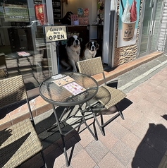 どうぞ