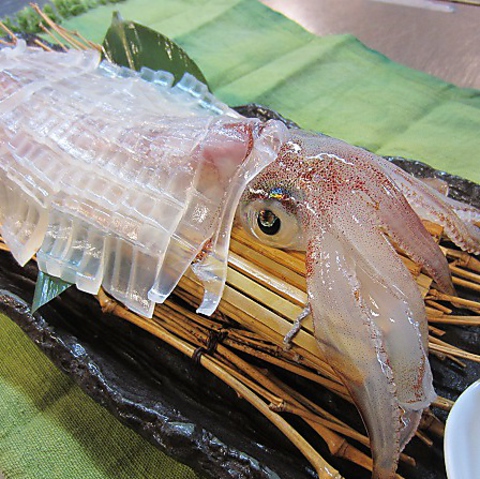 いか鮮本家