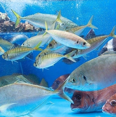 博多魚がし 海の路 天神店の写真