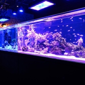 【アクアリウム】綺麗に輝く幻想的な水槽を横目に過ごす、贅沢な時間。2階はアクアリウム(水槽)があるお席になります。アクアリウムは1つではなく、何個もあり、個室にもございます。雰囲気抜群なので、普段では感じられないような体験と特別な時間を提供いたします♪