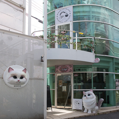 猫カフェ MIHOO 美頬 鶴橋店の写真