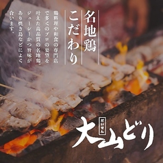 焼鳥 鍋の専門店 鶏将 八王子本店のおすすめ料理1