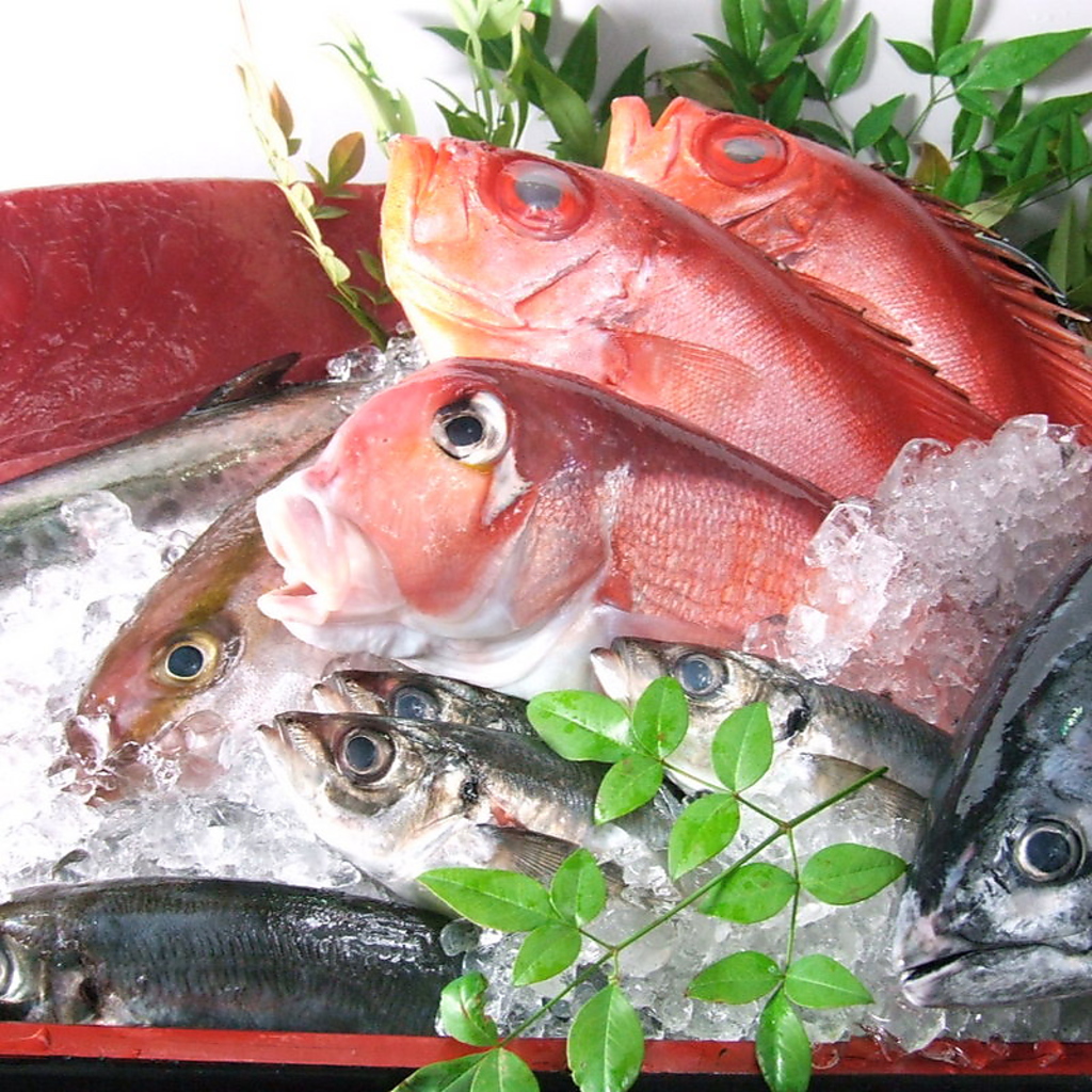 産地直送の鮮魚の数々・・・本物志向の味に、上司もうなる。鮮度抜群の魚をご賞味下さい★