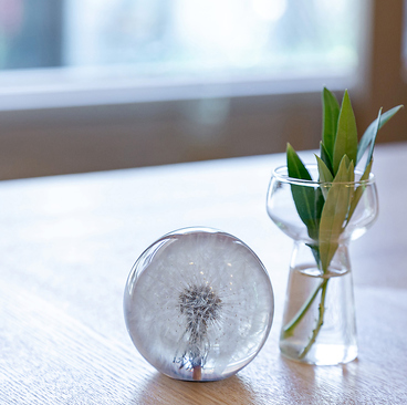 わたげの雰囲気1