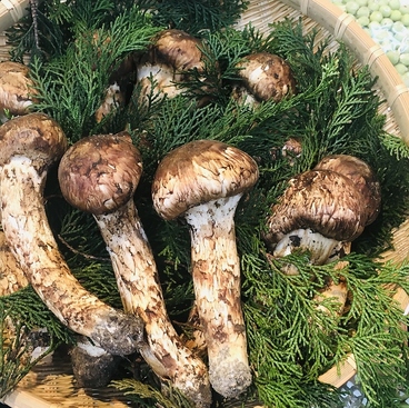 天麩羅春善のおすすめ料理1