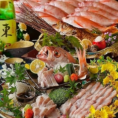 熊本 魚蔵の特集写真