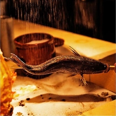 てるてる 田町店のおすすめ料理2