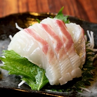 【鮮度こそ正義】店主自ら目利き！一本釣りの極上刺身