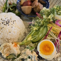 日替わりlunch