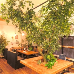 隠れ家イタリアンカフェ＆バル エバーグリーンの雰囲気1