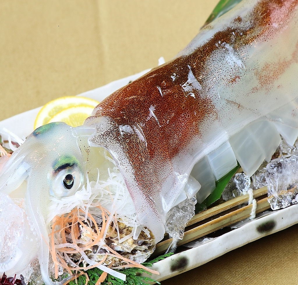 呼子産『活ヤリイカ』入荷！(活)ヤリイカと旬刺盛合せ⇒時価　※入荷状況はお問合せ下さい