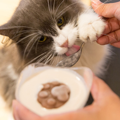 Cat&Animal Cafe Noah s Ark ノアズアーク 京都水族館前店のおすすめ料理1