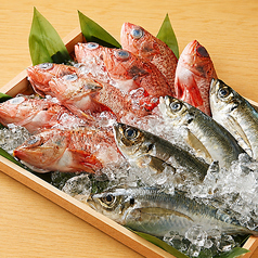 魚銀 池袋総本店のおすすめ料理3